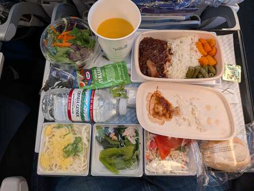 Airplane food